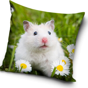 Animals Mouse kuddfodral 40x40 cm