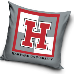 Harvard örngott 40x40 cm
