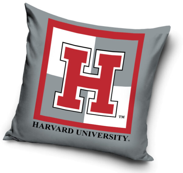 Harvard örngott 40x40 cm