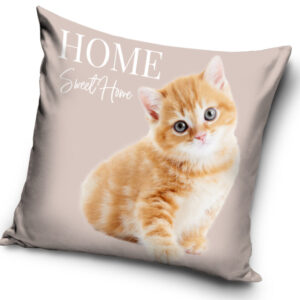 Cat hemkuddfodral 40x40 cm i velour