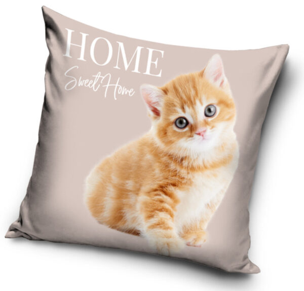 Katt kuddfodral 40x40 cm velour