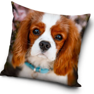 Hundkuddfodral 40x40 cm