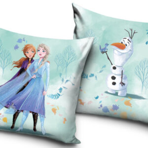 Disney Frozen kuddfodral i sammet 40x40 cm