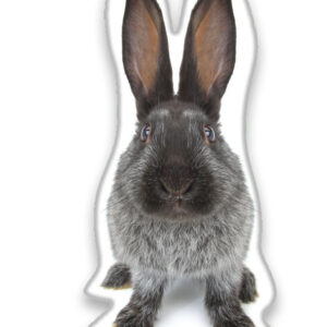 Rabbit S-formad dekorativ kudde 22x36 cm