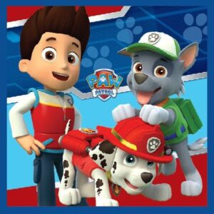 Paw Patrol Magic Hand Towel ansiktshandduk 30x30 cm