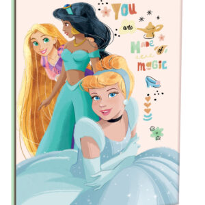 Disney Princess anteckningsbok B/5 linjerad 40 blad