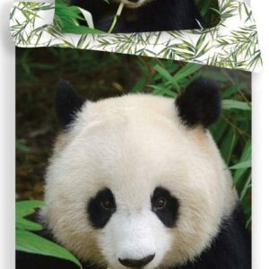 Panda Forest påslakanset 140x200 cm, 70x90 cm