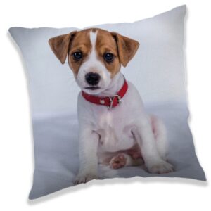Dekorativ kudde med hundmotiv 40x40 cm