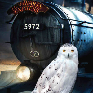 Harry Potter Hedwig badhandduk, strandhandduk 70x140 cm