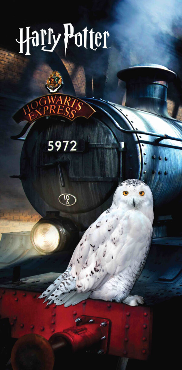 Harry Potter Hedwig badhandduk, strandhandduk 70x140 cm