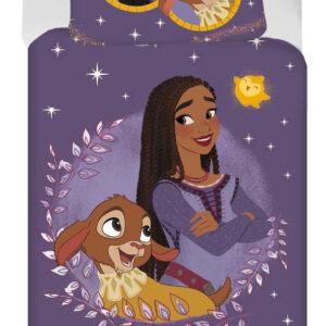 Disney Wish påslakanset 140x200 cm, 70x90 cm