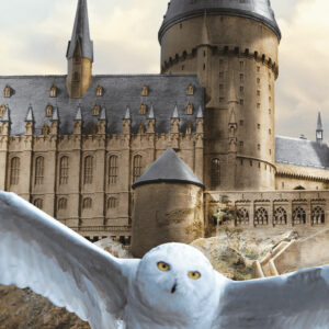 Harry Potter Hedwig badhandduk, strandhandduk 70x140 cm