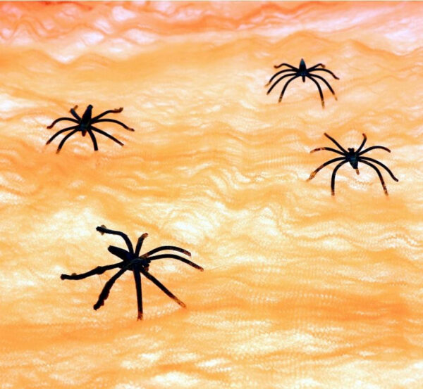 Orange spindelnät med spindlar