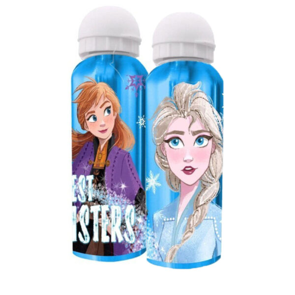 Disney Frozen Sisters aluminium vattenflaska 500 ml
