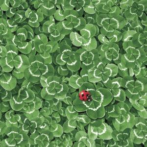 Colour Green Clover Servetter 20 st 33x33 cm