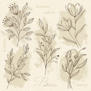 Flower Beige Illustration Servetter 20-pack 33x33 cm