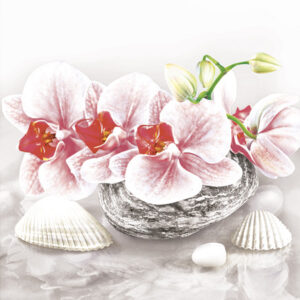 Servett Flower Orchid on Stone 20-pack 33x33 cm