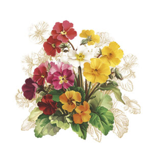 Flower Vintage Primrose servettset 20 st 33x33 cm