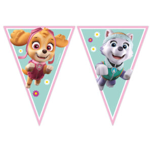Paw Patrol Skye och Everest banner