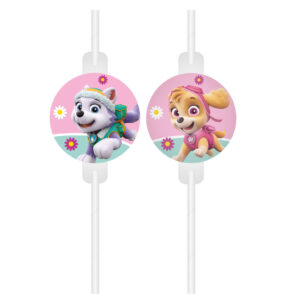 Paw Patrol Skye och Everest papperssugrör, 4-pack FSC