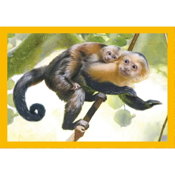 Animals Baby Cuddles 4 i 1 pussel Clementoni - Bild 3