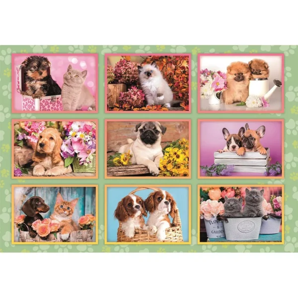 Puppies Collage 180 bitars pussel Clementoni - Bild 2