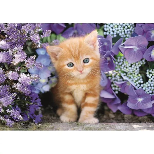 Clementoni Katt Pussel 500 bitar – Compact - Bild 2