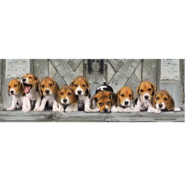 Dog Beagles 1000-bitars panoramapussel Clementoni - Bild 2