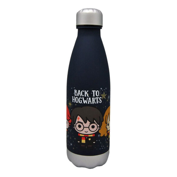 Harry Potter Hogwarts vattenflaska med skruvlock 650 ml