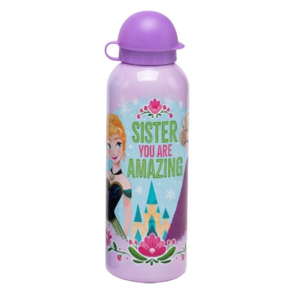 Disney Frost vattenflaska i aluminium med pipkork 500 ml