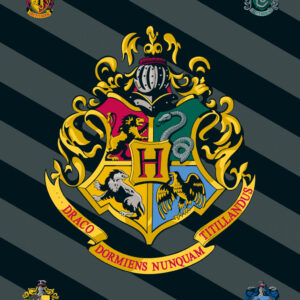Harry Potter Fleecefilt 100x150 cm