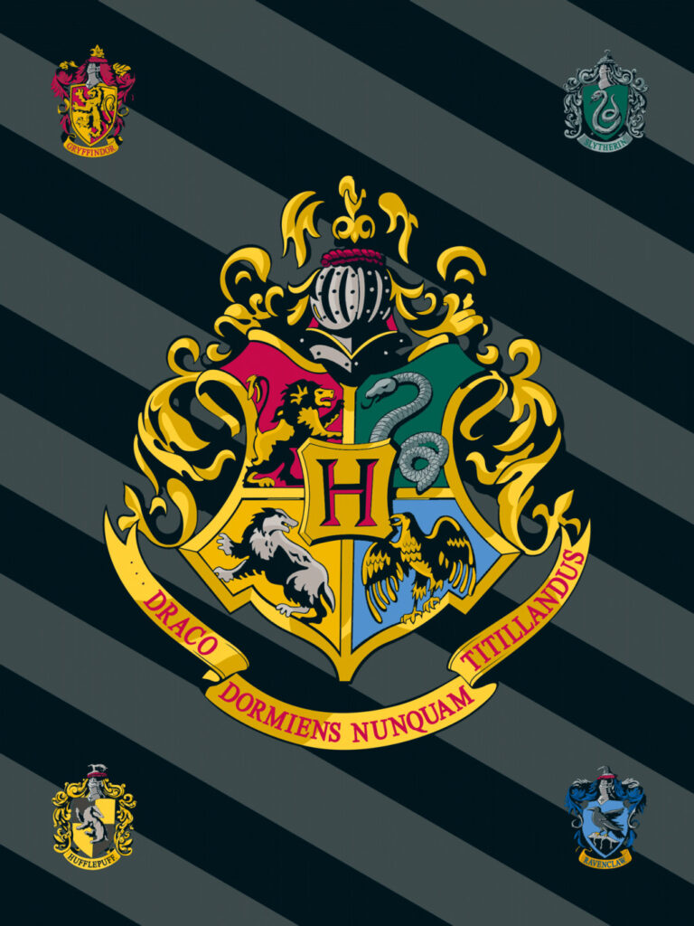 Harry Potter Fleecefilt 100x150 cm