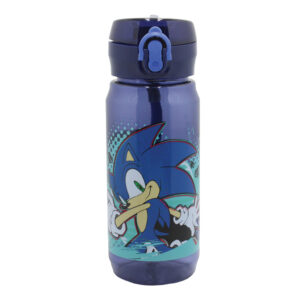 Sonic the Hedgehog vattenflaska 600 ml