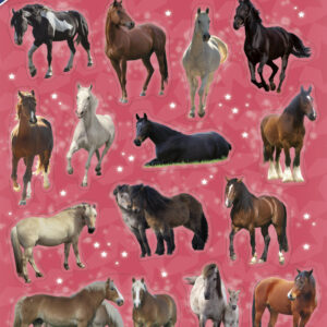 Animals Stars Häst klistermärke