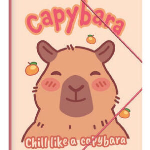Disney Lilo and Stitch This World Capybara A4 Elastisk Mapp