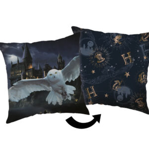 Harry Potter Hogwarts Night dekorativ kudde 40x40 cm