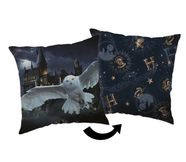 Harry Potter Hogwarts Night dekorativ kudde 40x40 cm