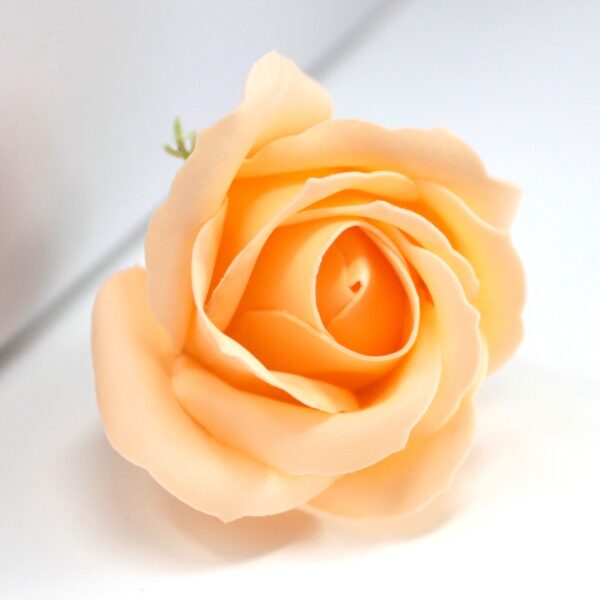 Tvålblommor till Hantverk - Mellanstor Ros - Persika