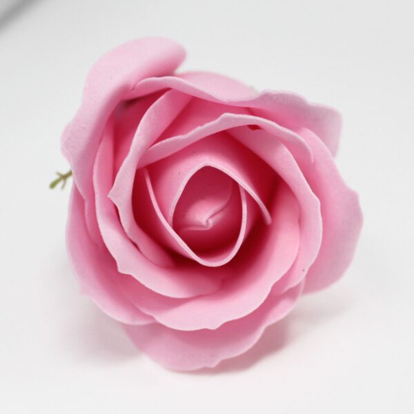 Tvålblommor till Hantverk - Mellanstor Ros - Rosa