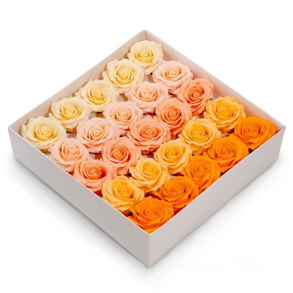 Tvålblommor till Hantverk - (5-lager) Romantisk Ros - Nyanserade Färger - Persikoskimmer