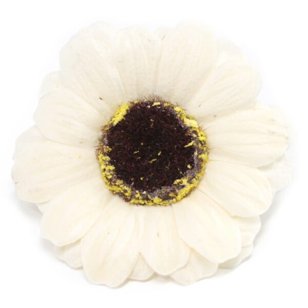 Tvålblommor till Hantverk - Liten Solros - Elfenben