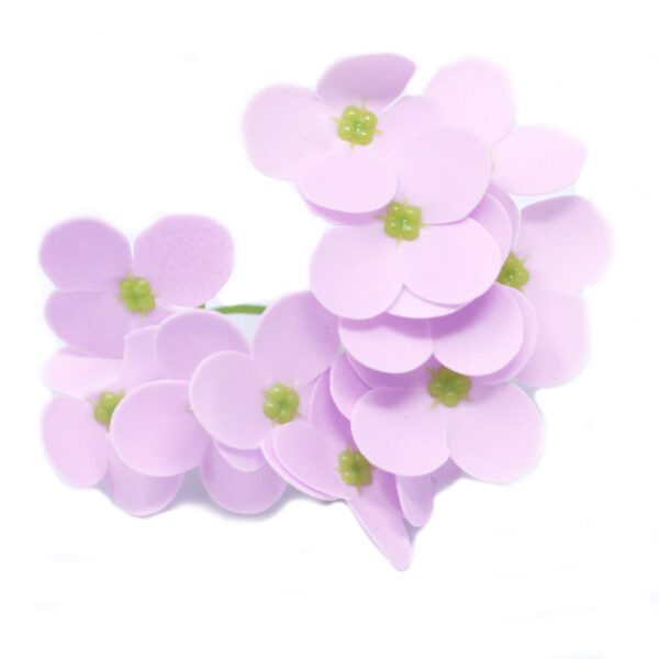 Tvålblommor till Hantverk - Hortensia - Lavendel