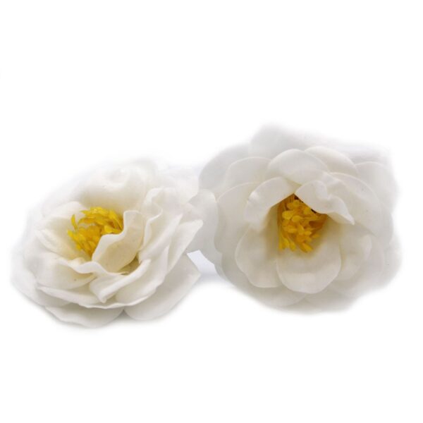 Tvålblommor till Hantverk - Kamelia - Vit