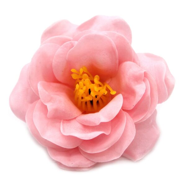 Tvålblommor till Hantverk - Kamelia - Ljusrosa