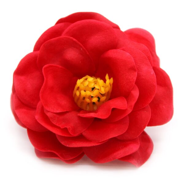 Tvålblommor till Hantverk - Kamelia - Röd