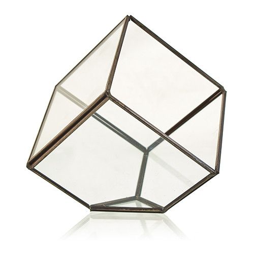 Terrarium i Glas - Kub på Hörn