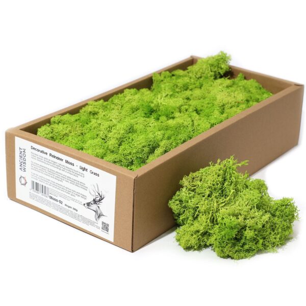 Högkvalitativ Dekorativ Renmossa - Ljus Gräs - 500g Ask
