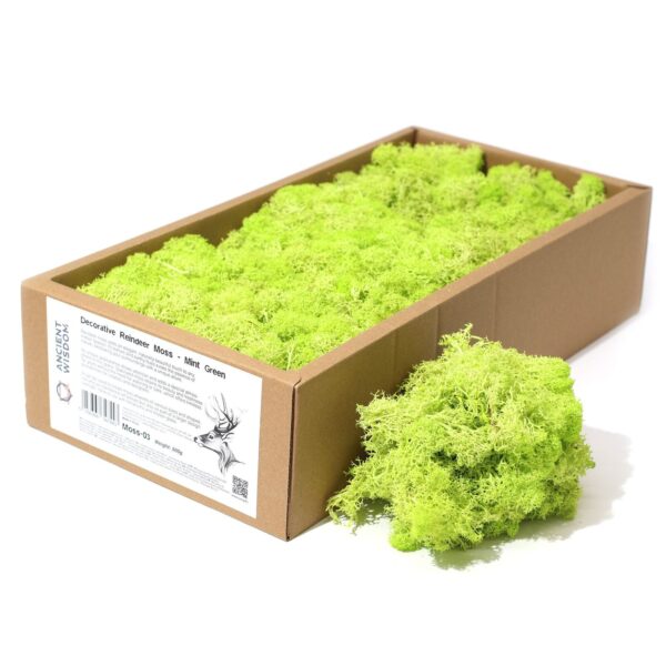 Högkvalitativ Dekorativ Renmossa - Mintgrön - 500g Ask