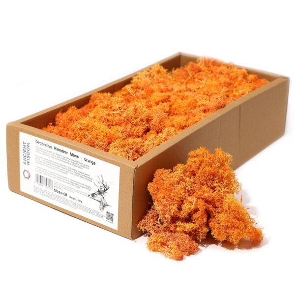 Högkvalitativ Dekorativ Renmossa - Orange - 500g Ask