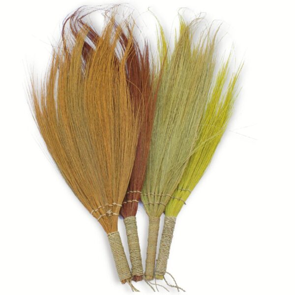 Set med 4 - Långt Pampasgräs - Naturliga Färger